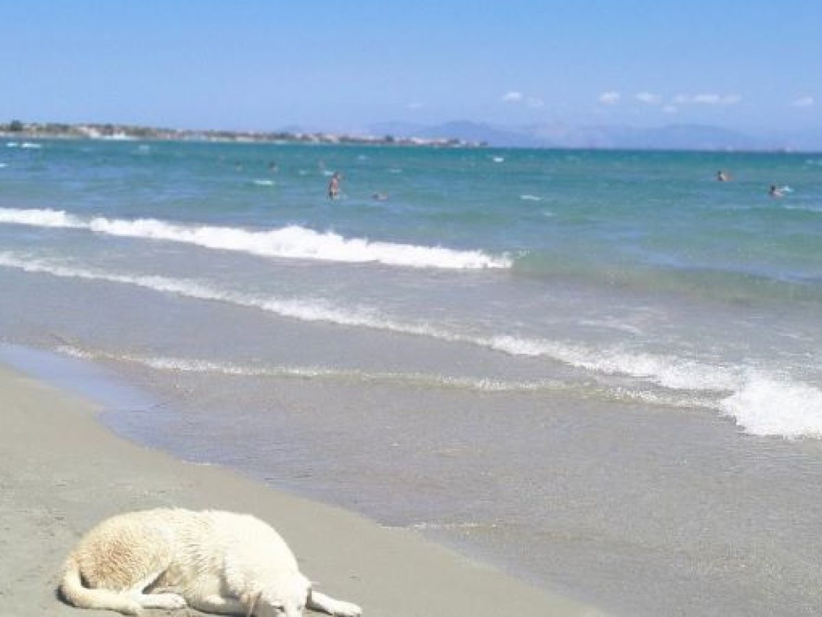 Τελευταίο μπάνιο για 74χρονη στην παραλία της Αρτέμιδας