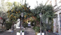 tha-gkremisti-i-pasarela