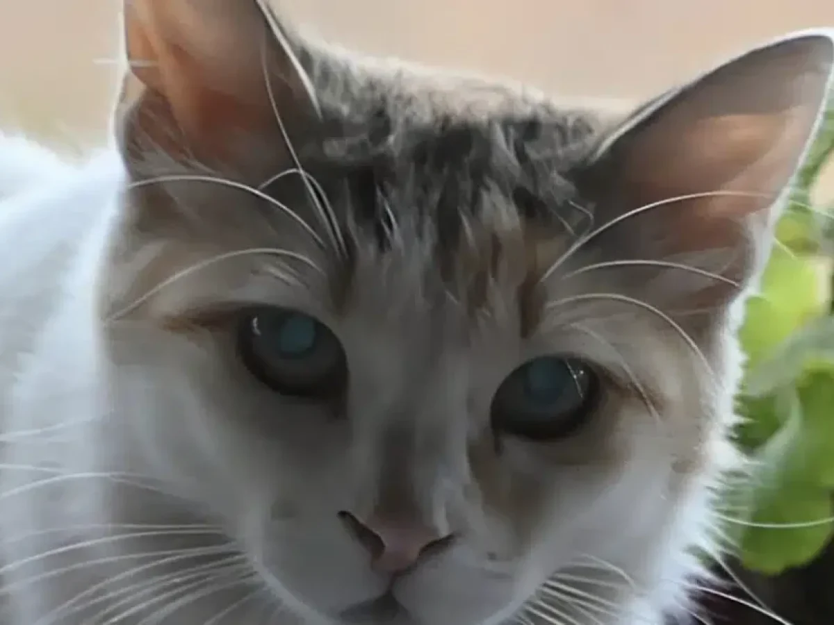 Θεσσαλονίκη: Έκοψε το αυτί του συντρόφου της γιατί επιτέθηκε στη γάτα – «Δεν δέχομαι βία στο ζώο»