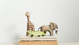 ti-allazi-gia-to-epidoma