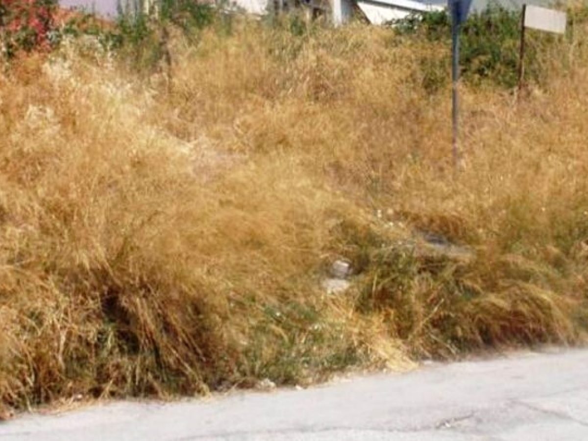 Τι αλλάζει στους καθαρισμούς οικοπέδων με το νομοσχέδιο «Ενεργή Μάχη» – Πότε λήγει η προθεσμία για τους ιδιοκτήτες