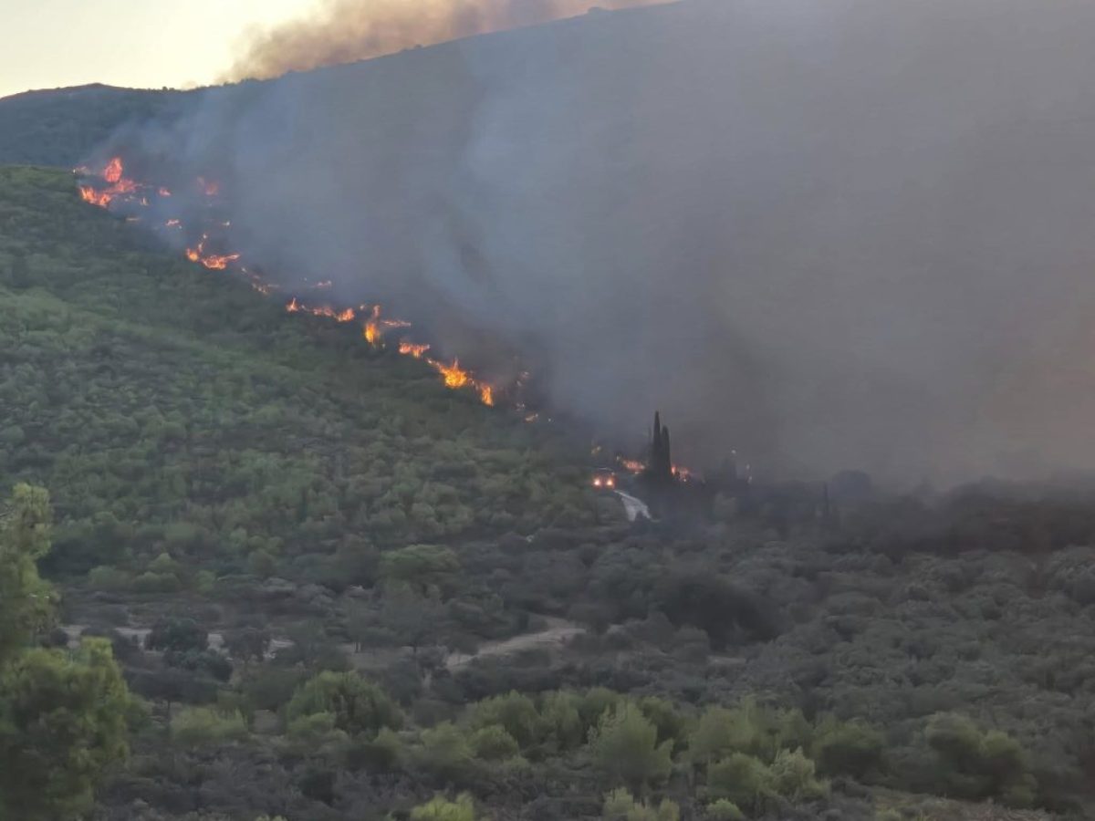 Το παράπονο και η αγανάκτηση ενός πληγέντα από  τις καταστροφικές πυρκαϊές του  Αυγούστου 2025
