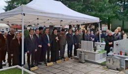 to-psichosavvato-timithikan-i-pesontes