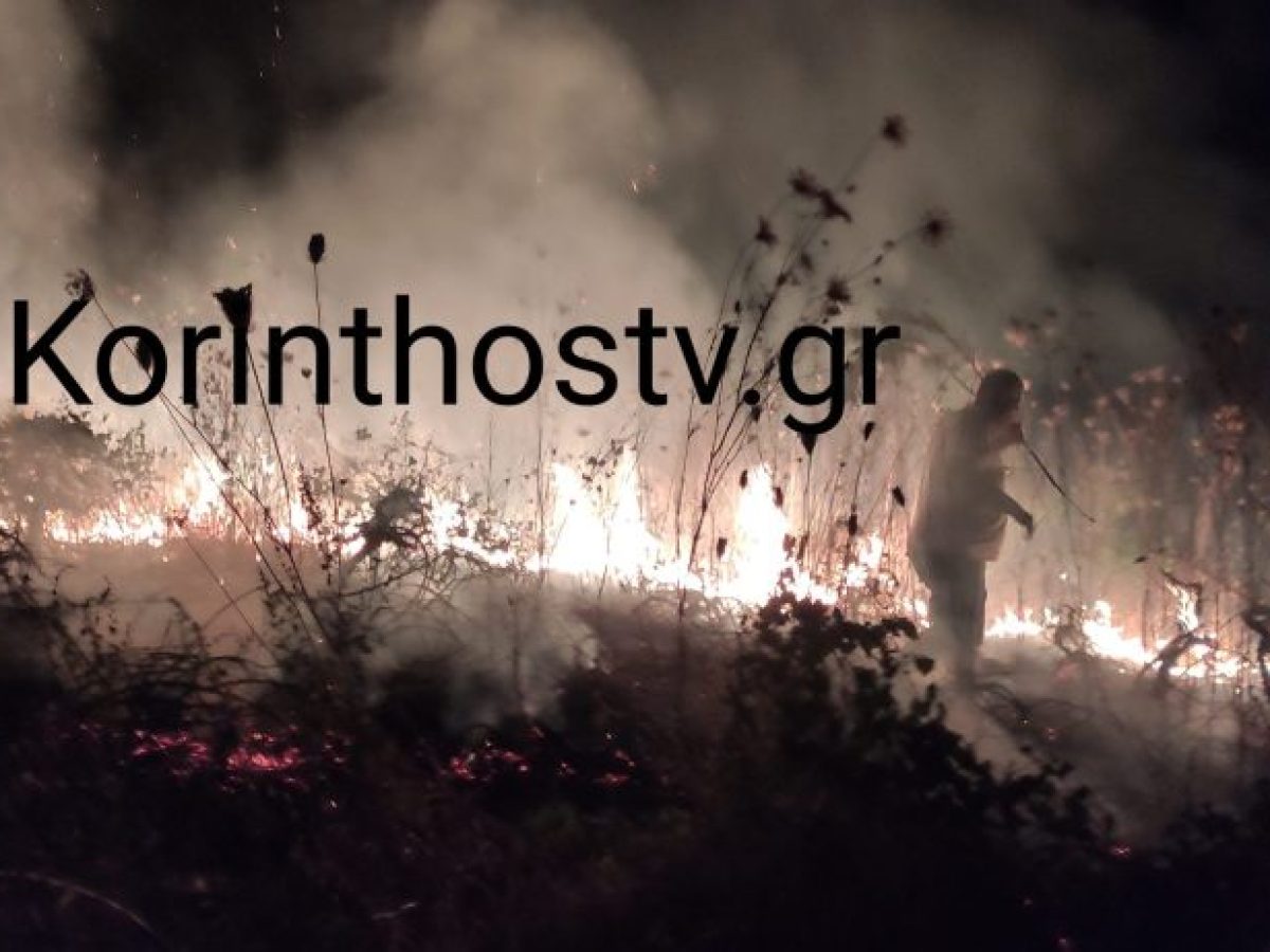 ΤΩΡΑ: Φωτιά σε αυλή σπιτιού στην Αρχαία Νεμέα