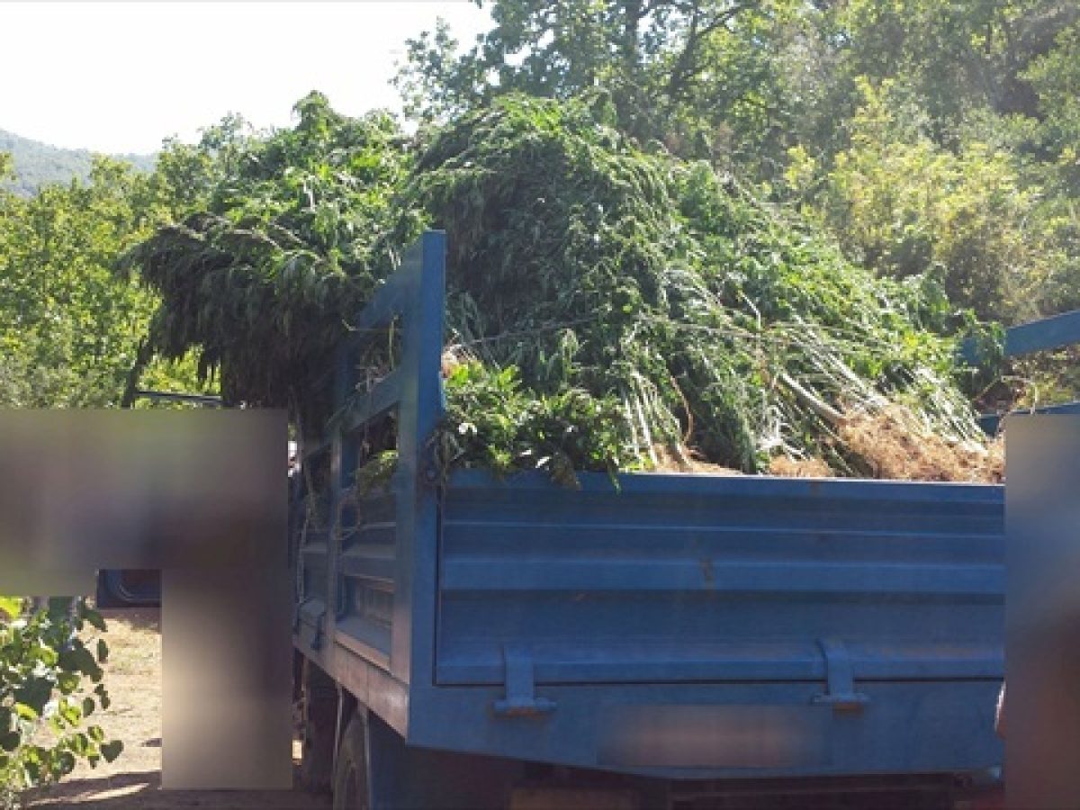 Τριαξονικό φόρτωσαν με λίγο χασισάκι και ένα τσιγαριλίκι-1 σύλληψη