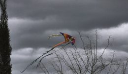 triimero-katharas-defteras-2026-chimoniatiko