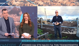 tsiknopempti-statheres-times-sti-varvakio