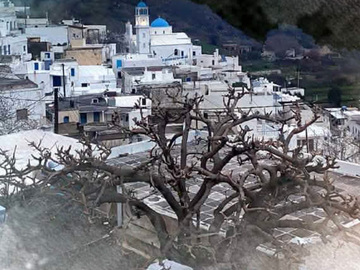 &Tau;&sigma;&iota;&kappa;&nu;&omicron;&pi;έ&mu;&pi;&tau;&eta; &sigma;&tau;&eta;&nu; &Kappa;&omega;&mu;&iota;&alpha;&kappa;ή &Nu;ά&xi;&omicron;&upsilon; &ndash; &Alpha;&pi;&omicron;&kappa;&rho;&iota;ά&tau;&iota;&kappa;&omicron; &gamma;&lambda;έ&nu;&tau;&iota; &alpha;&pi;ό &tau;&omicron;&nu; &Sigma;ύ&lambda;&lambda;&omicron;&gamma;&omicron; &Gamma;&upsilon;&nu;&alpha;&iota;&kappa;ώ&nu; &kappa;&alpha;&iota; &tau;&omicron; &Pi;&nu;&epsilon;&upsilon;&mu;&alpha;&tau;&iota;&kappa;ό &Kappa;έ&nu;&tau;&rho;&omicron;