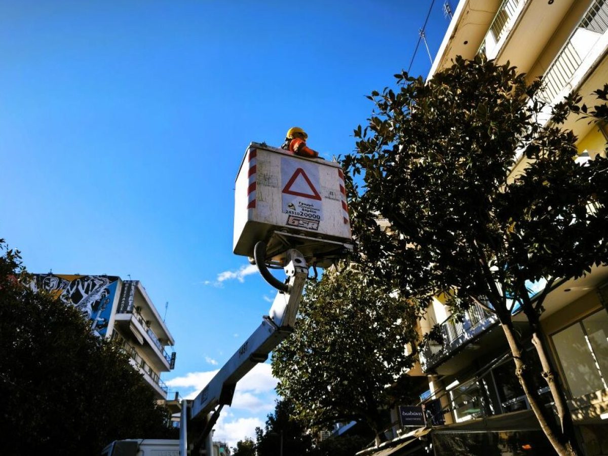 Βγαίνει να κλαδέψει 1.700 δέντρα ο Δήμος Τρικκαίων