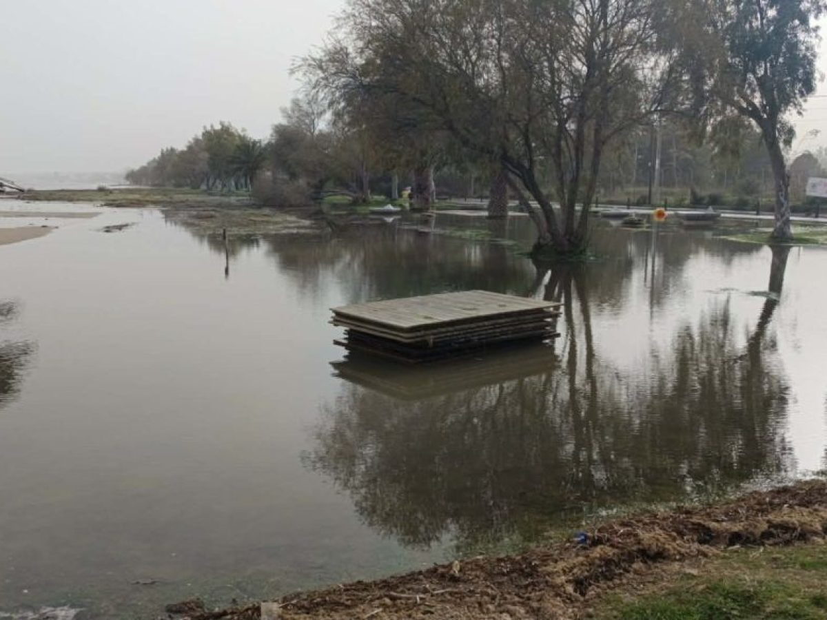 Βγήκε η θάλασσα στη στεριά στη Νέα Μάκρη – Λίμνες και φύκια στον πεζόδρομο προς Αγία Κυριακή (φωτογραφίες)