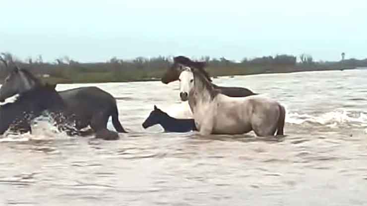 video-–-ena-monadiko-theama