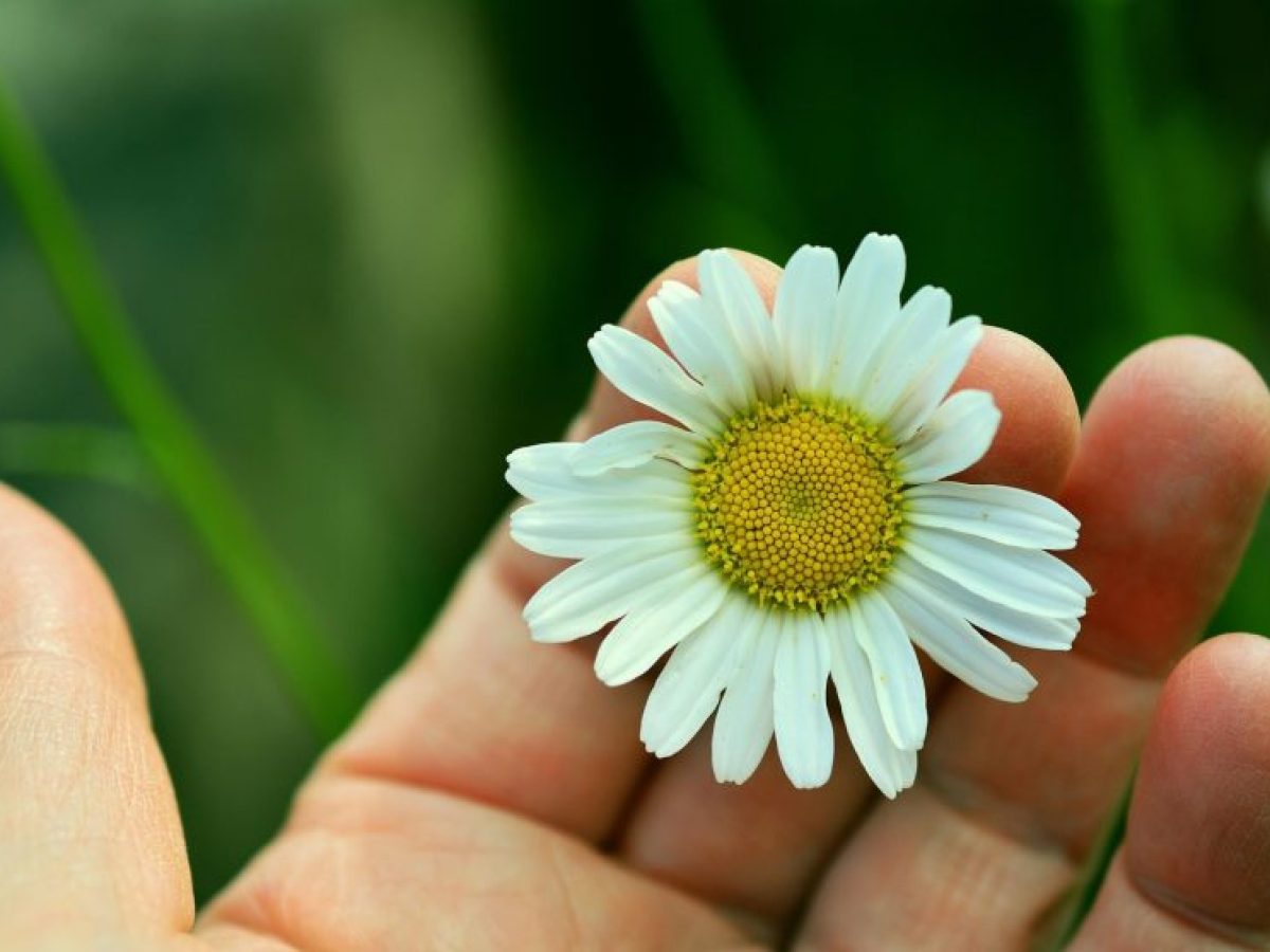 Βίκυ Αγγελίδου Ψυχολόγος, ψυχοθεραπεύτρια Gestalt | Συνέντευξη