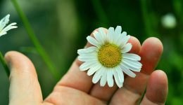 viki-Αngelidou-psichologos-psichotherapeftria-Gestalt