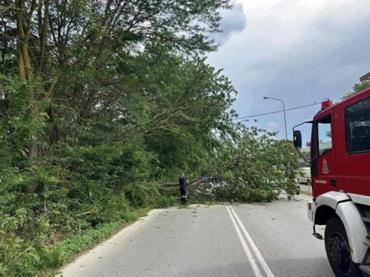 Ζημιές με διακοπές ρεύματος «σκόρπισαν» οι ισχυροί άνεμοι στις Σέρρες