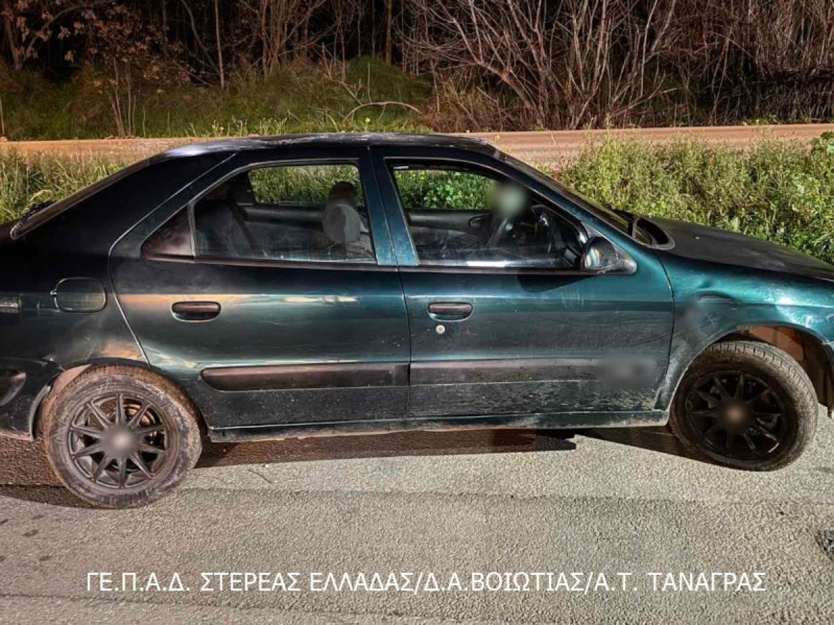 Άμεση σύλληψη τριών μετά από διάπραξη κλοπής σε φωτοβολταϊκό πάρκο περιοχής της Βοιωτίας