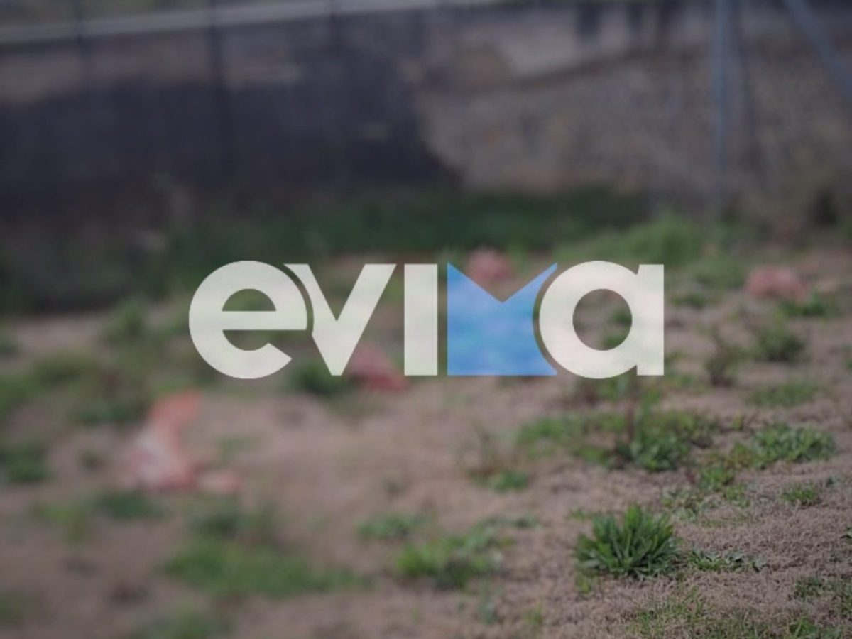 Αδιανόητο περιστατικό στην Εύβοια: Πέταξαν ωμό κρέας και κεφάλια από γουρούνια σε σκυλιά