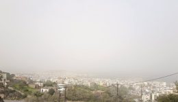 Αfrikaniki-skoni-ke-thiellodis-notiades