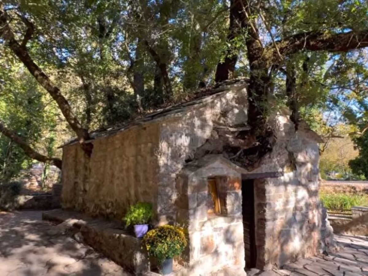 Αγία Θεοδώρα: Ένα θαύμα της φύσης στη Βάστα Αρκαδίας