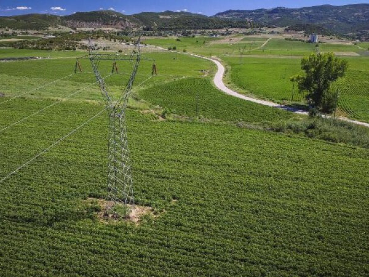 Αγρότες: Η νέα περίοδο ασφαλιστικής ικανότητας