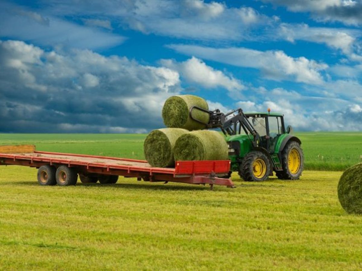 ΑΓΡΟΤΕΣ ΠΡΟΣΟΧΗ: Δάνεια 10.000–3,5 εκατ.€ και επιδότηση 4% και οδηγός για ΟΣΔΕ για τις επιδοτήσεις