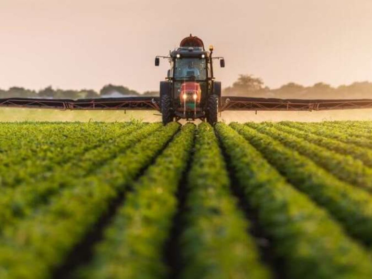 Αγρότες: Ανοίγει ξανά το ΟΣΔΕ από τις 9 έως και τις 27 Φεβρουαρίου για διορθώσεις σφαλμάτων στην Ενιαία Αίτηση Ενίσχυσης