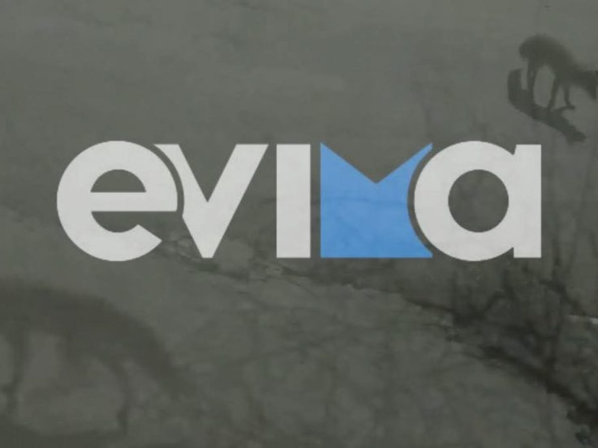 Αλεπούδες κόβουν βόλτες σε γειτονιά της Χαλκίδας – Βίντεο ντοκουμέντο