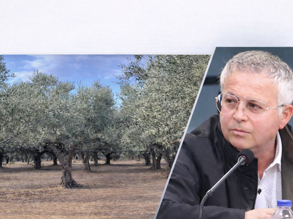 Αναγκαίο ενιαίο σύστημα υδροληψίας για την στήριξη των ελαιοπαραγωγών