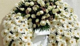 Αnakinosi-kidias-tou-georgiou-gkaliouri