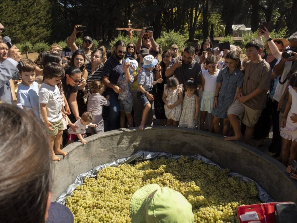 Αναβίωσε το έθιμο του πατήματος των σταφυλιών στην Παναγία Καμαριανή