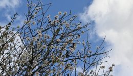 Αnixiatiki-anasa-ston-kero-–