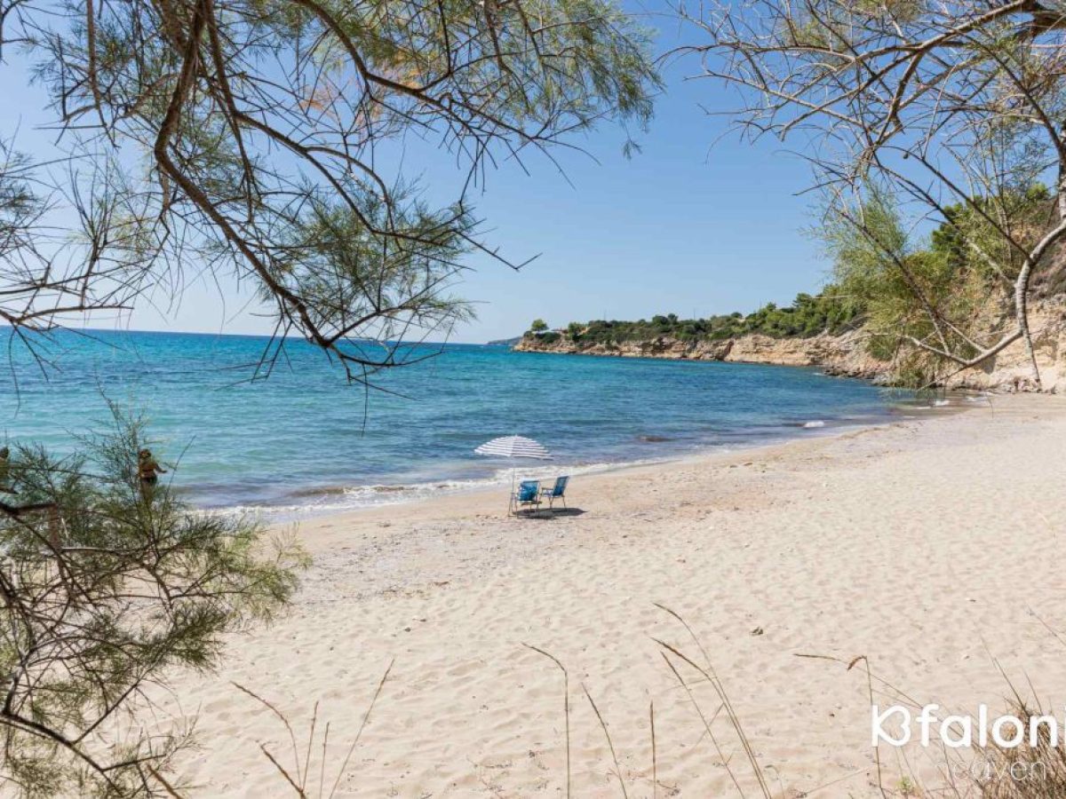 Από το Natura 2000 στο Θαλάσσιο Πάρκο: 25 χρόνια χρηματοδοτήσεις δισεκατομμυρίων χωρίς να γίνει τίποτε!