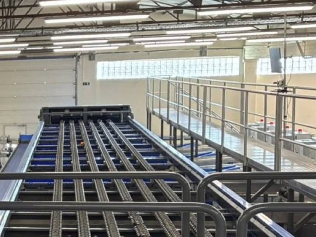 Από το χωράφι στην ΑΙ: Συσκευαστήριο στην Αργολίδα διαλέγει τα εσπεριδοειδή με τεχνητή νοημοσύνη!