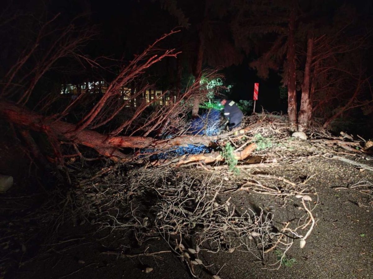 Αποκαταστάθηκε η κυκλοφορία στον δρόμο προς Ζιά μετά την πτώση δέντρου