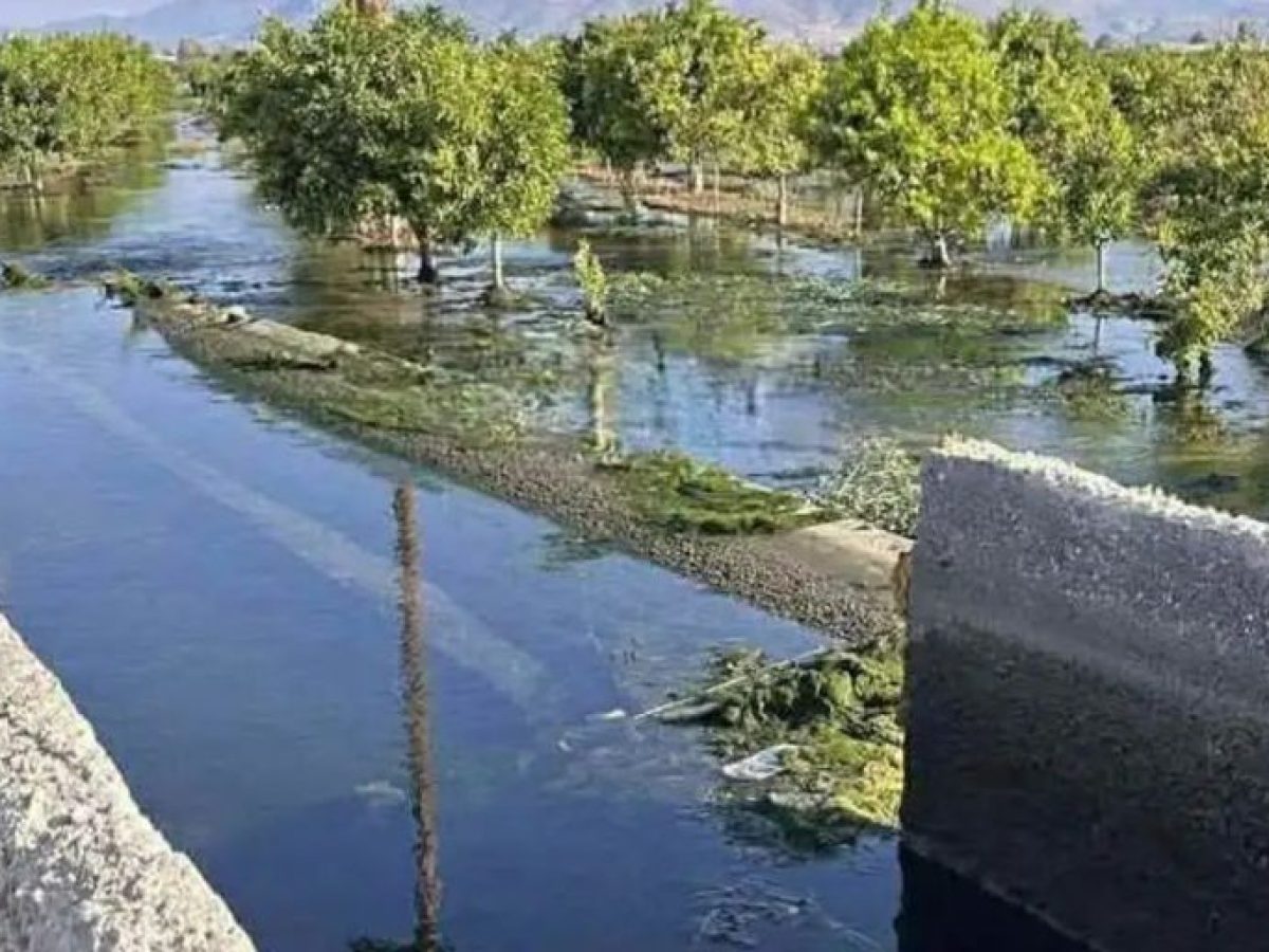 Αργολίδα: Δεκάδες χιλιάδες κυβικά νερού χύνονται στη θάλασσα – Έξαλλοι οι αγρότες – Τι κάνει η Περιφέρεια;