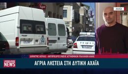 Άgria-listia-sti-ditiki-&Alpha;chaia