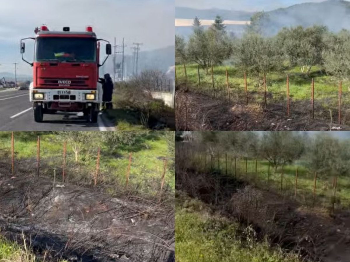 Ά&mu;&epsilon;&sigma;&eta; &kappa;&iota;&nu;&eta;&tau;&omicron;&pi;&omicron;ί&eta;&sigma;&eta; &tau;&eta;&sigmaf; &Pi;&upsilon;&rho;&omicron;&sigma;&beta;&epsilon;&sigma;&tau;&iota;&kappa;ή&sigmaf; &Upsilon;&pi;&eta;&rho;&epsilon;&sigma;ί&alpha;&sigmaf; &Kappa;&alpha;&lambda;&alpha;&mu;&pi;ά&kappa;&alpha;&sigmaf; &gamma;&iota;&alpha; &phi;&omega;&tau;&iota;ά &sigma;&tau;&eta;&nu; &Epsilon;.&Omicron;. &Kappa;&alpha;&lambda;&alpha;&mu;&pi;ά&kappa;&alpha;&sigmaf; &ndash; &Tau;&rho;&iota;&kappa;ά&lambda;&omega;&nu;