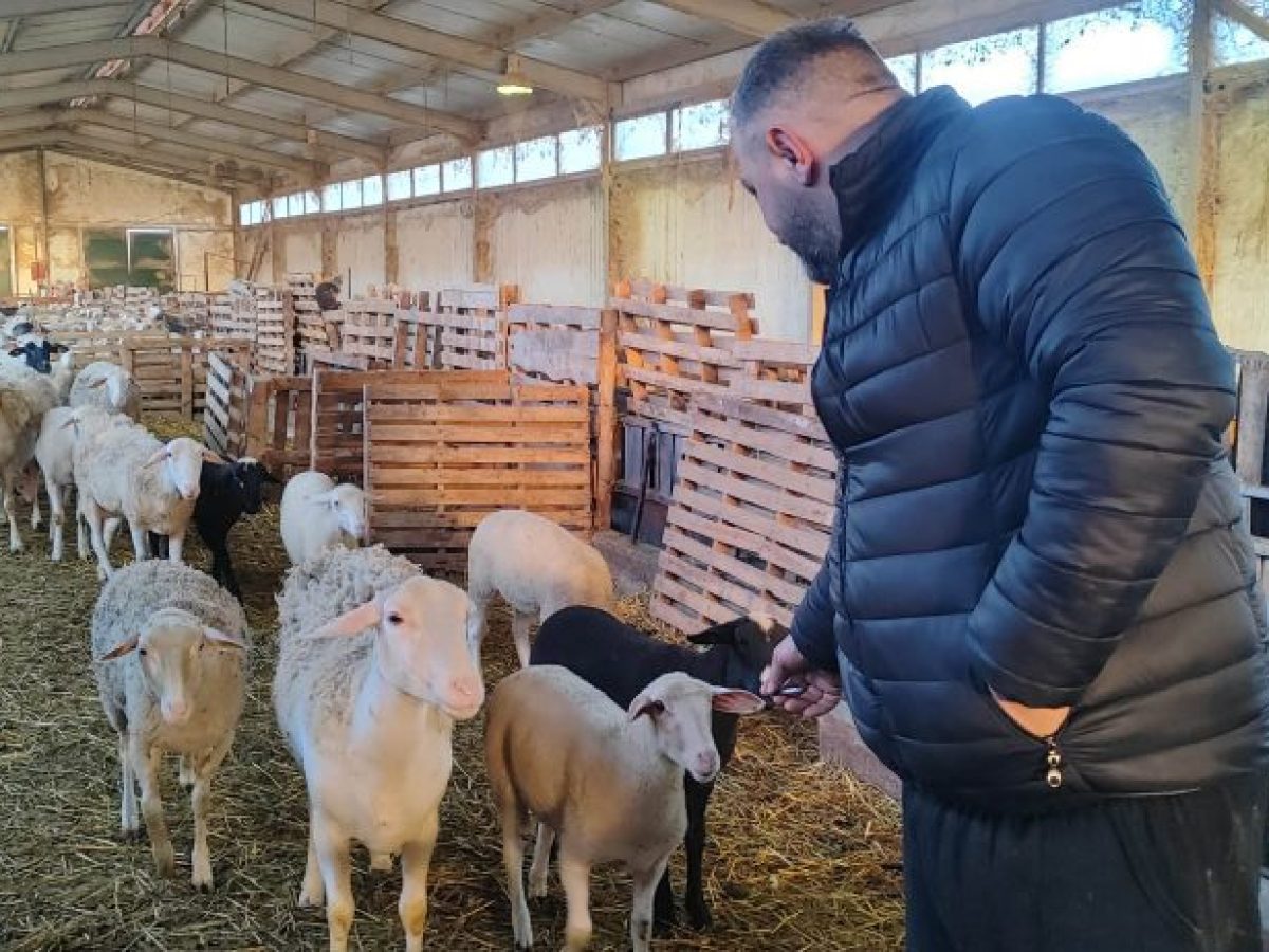 &Alpha;&kappa;&rho;&iota;&beta;ό&tau;&epsilon;&rho;&omicron; &phi;έ&tau;&omicron;&sigmaf; &tau;&omicron; &alpha;&rho;&nu;ί &ndash; &laquo;Έ&chi;&epsilon;&iota; &chi;&alpha;&theta;&epsilon;ί &tau;&omicron; &Pi;ά&sigma;&chi;&alpha; &gamma;&iota;&alpha; &tau;&eta;&nu; &Kappa;&omicron;&zeta;ά&nu;&eta;&raquo; &lambda;έ&nu;&epsilon; &omicron;&iota; &kappa;&tau;&eta;&nu;&omicron;&tau;&rho;ό&phi;&omicron;&iota;