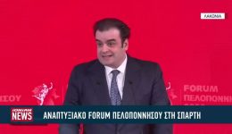 &Alpha;naptixiako-Forum-peloponnisou-parousia-tou