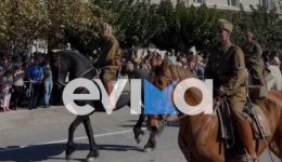 &Alpha;natropi-stin-evvia-giati-den