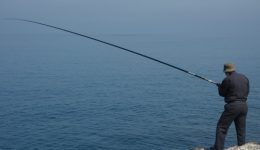 &Alpha;pagorefsi-&Alpha;liias-ston-pinio-potamo