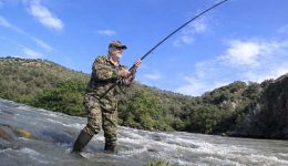 &Alpha;pagorefsi-aliias-sta-trikala-&middot;