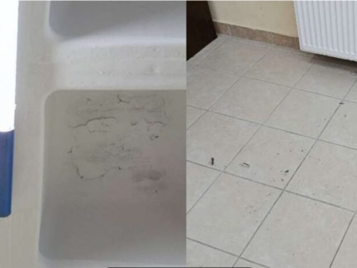 1ο Δημοτικό Σχολείο Γαργαλιάνων: Σοβάδες έπεσαν από το ταβάνι-Κλειστή η αίθουσα εκδηλώσεων για αποκατάσταση-Η καταγγελία των γονέων