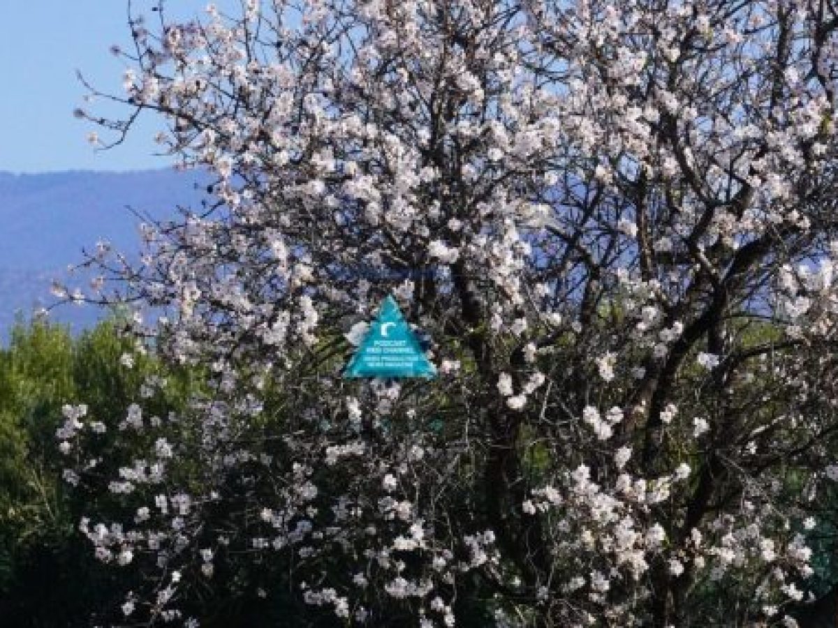 20 Μαρτίου η πρώτη μέρα της άνοιξης. Η στιγμή που ημέρα και νύχτα εξισώνονται