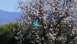 20-martiou-i-proti-mera