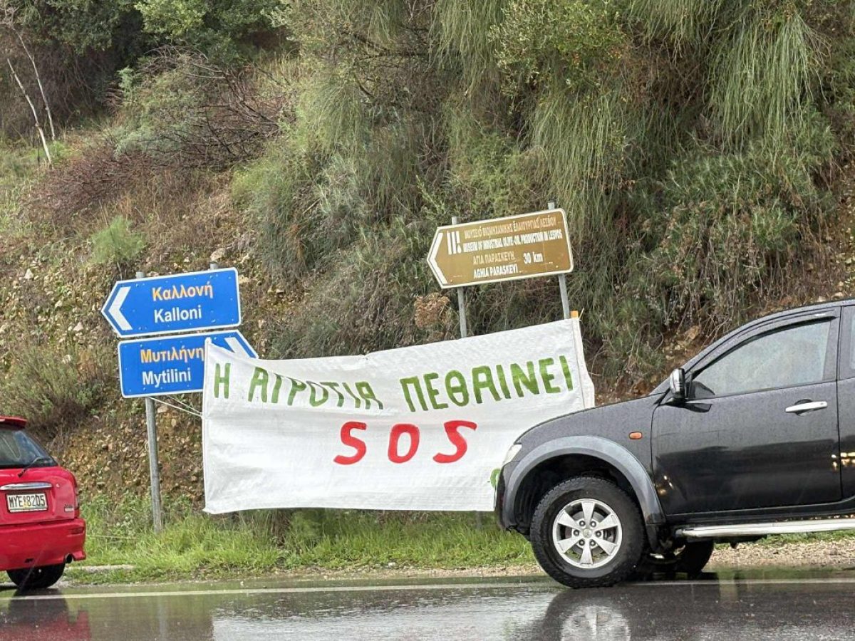 9 Αγροτοκτηνοτροφικοί Σύλλογοι στηρίζουν την κινητοποίηση στις 22/3 στη Λάρσο