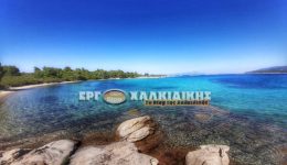 9o-Prodexpo-North-i-chalkidiki