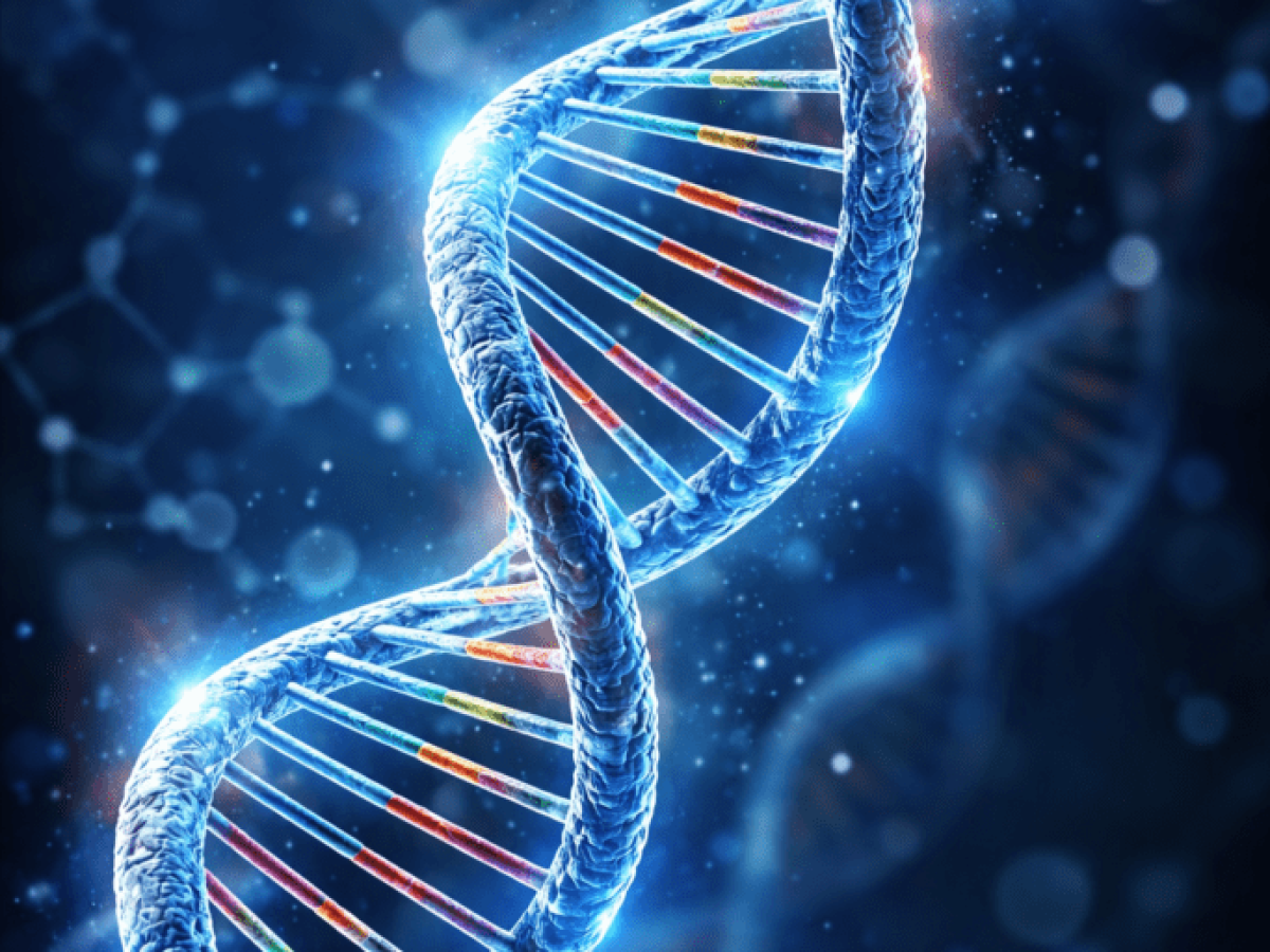 DNA-ΓΟΝΙΔΙΟ-ΧΡΩΜΟΣΩΜΑ-ΓΟΝΙΔΙΩΜΑ (Η ΓΛΩΣΣΑ ΤΟΥ ΘΕΟΥ)