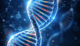 DNA-gonidio-chromosomΑ-gonidiomΑ-i-glossΑ-tou-theou