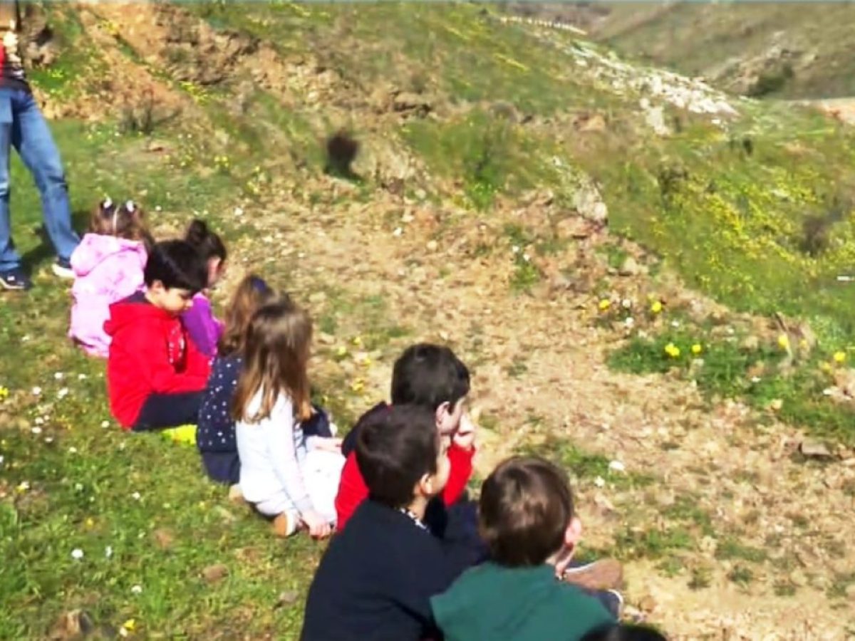 Eco-Γέφυρες: Περιβαλλοντικό πρόγραμμα για μαθητές (video)