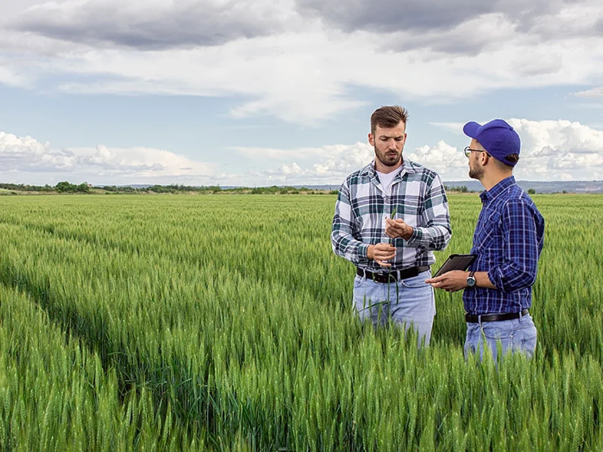 Eρημοποίηση της υπαίθρου – Ομαδική έξοδος 75.900 απασχολούμενων στο αγροτικό επάγγελμα, μέσα σε ένα χρόνο